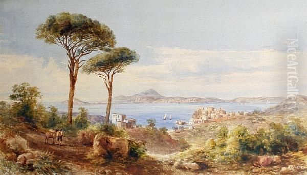 View Of Pozzuoli With Ischia In The Background Oil Painting by Giovanni Giordano Lanza