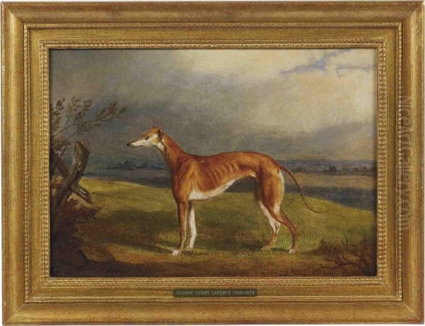 A Greyhound In A Landscape Oil Painting by George Henry Laporte