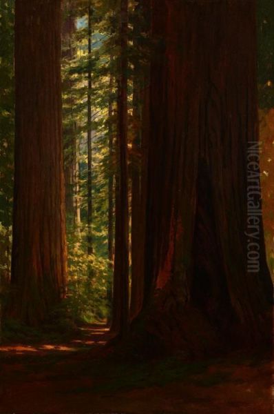 Redwood Grove At Big Trees, Santa Cruz, Ca Oil Painting by Lorenzo Palmer Latimer