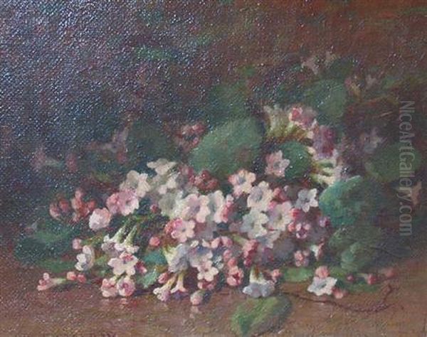 Pink Arbutus Oil Painting by Jonas Joseph LaValley