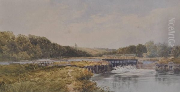 A Weir On The River Oil Painting by David Law