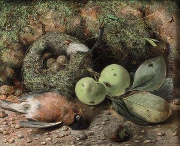 Fruit, A Nest And Game On A Forest Floor Oil Painting by Cecil Gordon Lawson