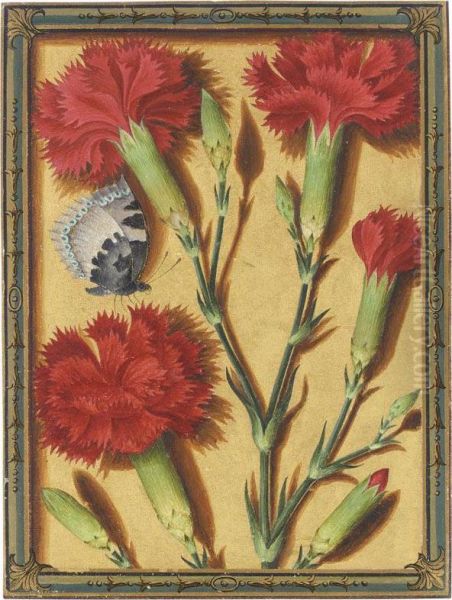 Clove Pinks And A Small Tortoiseshell Butterfly Oil Painting by Jacques (de Morgues) Le Moyne