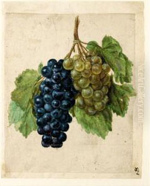 Two Bunches Of Grapes, One Black And One White Oil Painting by Jacques (de Morgues) Le Moyne