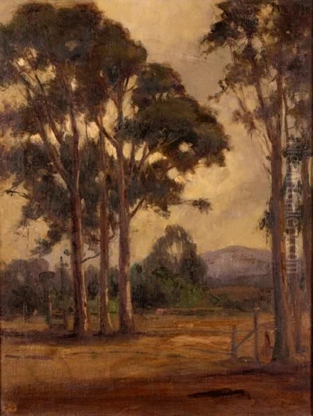 Eucalyptus Grove Oil Painting by Bertha Stringer Lee