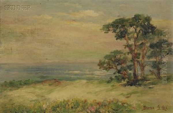 A View Of The Coast Oil Painting by Bertha Stringer Lee