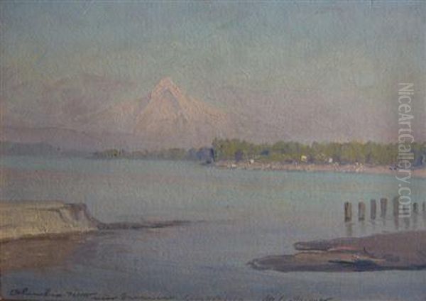 Columbia River Near Vancouver Oil Painting by Martin B. Leisser