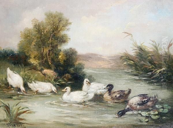 Ducks In A Pond Oil Painting by Louis Marie Lemaire