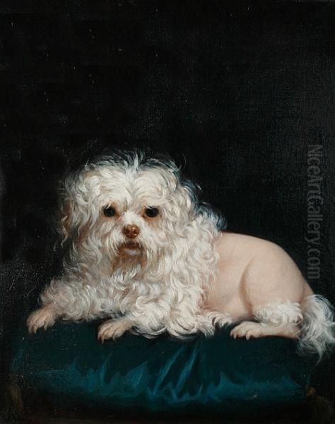 Petit Chien De Lion Oil Painting by Leontine Lemee