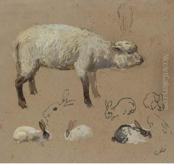 A Lamb In Profile To The Right And Seven Studies Of Rabbits Oil Painting by Carolus Lemeunier