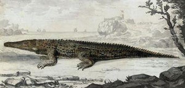 Study Of A Crocodile On The Shore, A Castle Beyond Oil Painting by Clement Lempriere