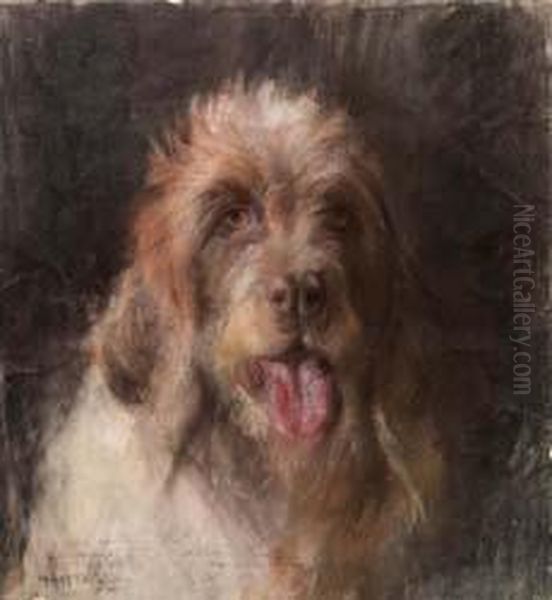 Spinone Oil Painting by Marino Lenci