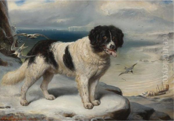 Rome- Chien De Terre-neuve: A Newfoundland Oil Painting by Francois Gabriel G. Lepaulle