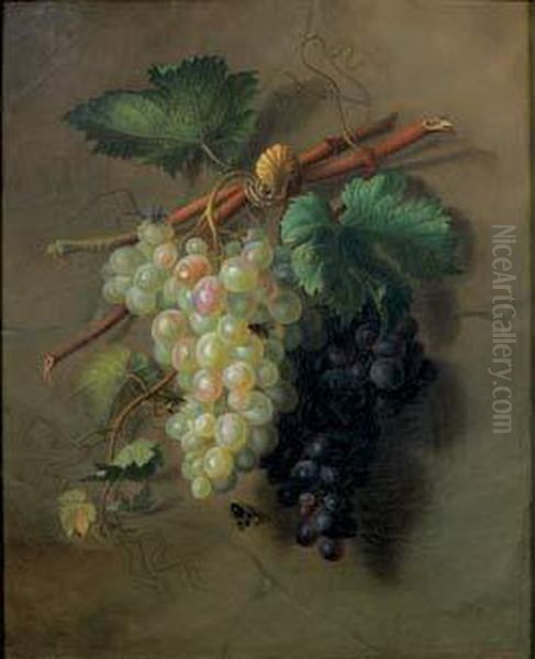 Nature Morte Aux Grappes De Raisins Blancs Et Noirs Oil Painting by Ange Louis Guillaume Lesourd De Beauregard