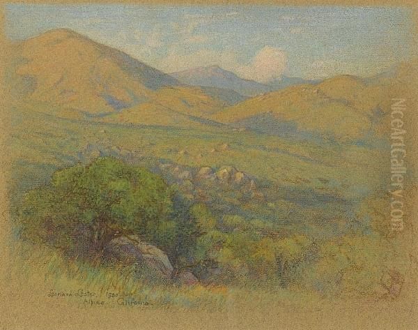 Alpine California; Oaks At Sunset by Leonard Lester