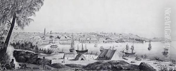 View Of Port Jackson And Sydney Harbour Oil Painting by Lesueur, Charles Alexandre