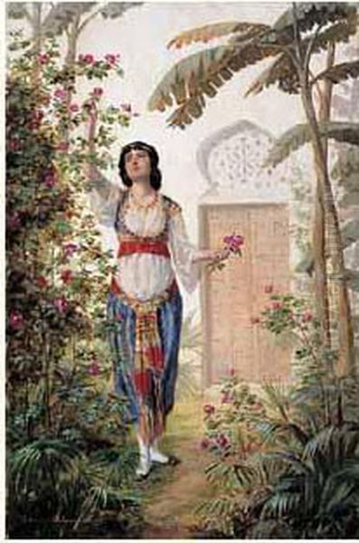 Jeune Orientale Cueillant Des Roses Oil Painting by Edouard Letourneau