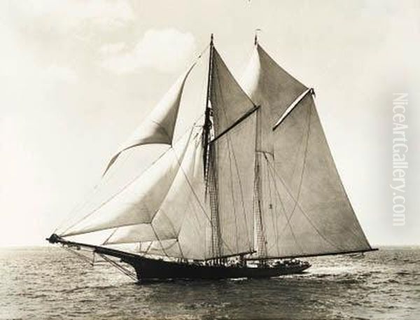 An American Schooner Yacht Oil Painting by Edwin Levick