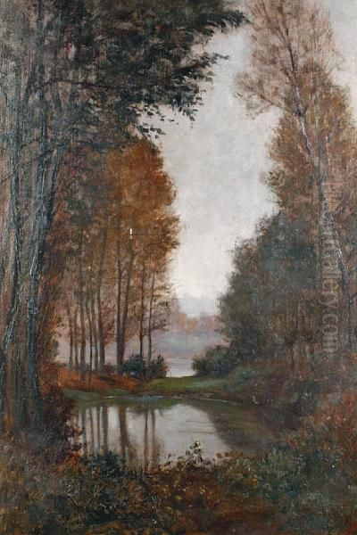 A Woodland Pool Oil Painting by Giuseppe Augusto Levis