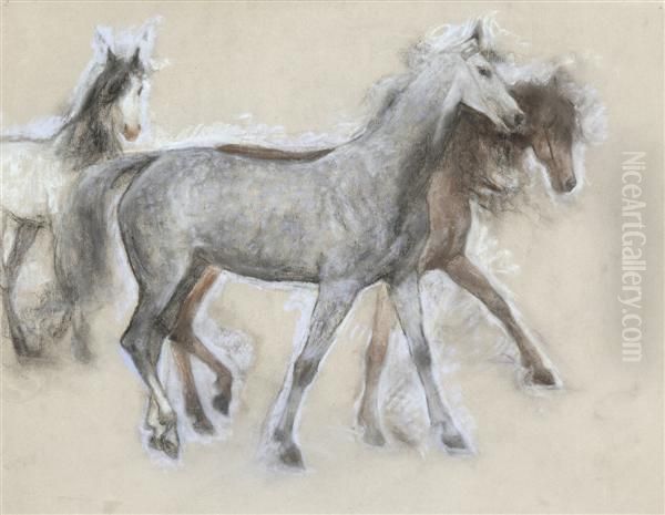 Etude De Chevaux Oil Painting by Lucien Levy-Dhurmer