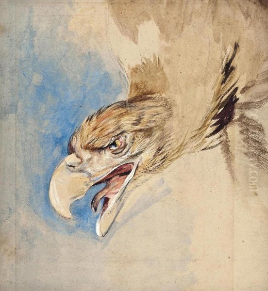 Study Of The Head Of An Eagle Oil Painting by John Frederick Lewis