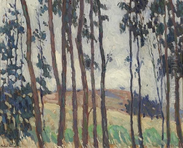 Lanky Eucalyptus Oil Painting by Phillips Frisbie Lewis