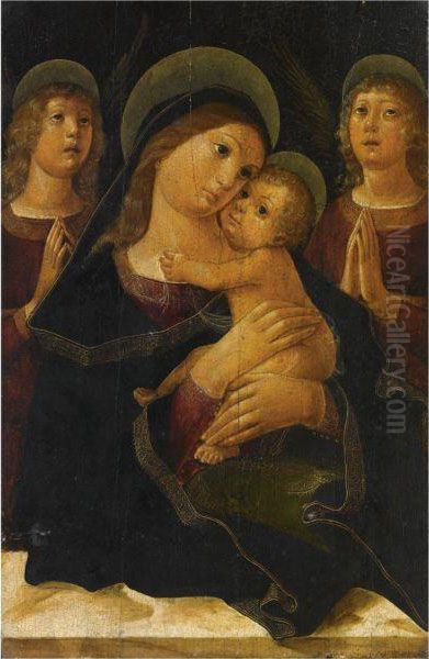 Madonna Che Abbraccia Il Bambino E Due Angeli Oil Painting by Liberale Da Verona