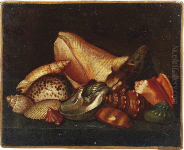 Exotic Shells On A Ledge Oil Painting by Jacques Linard