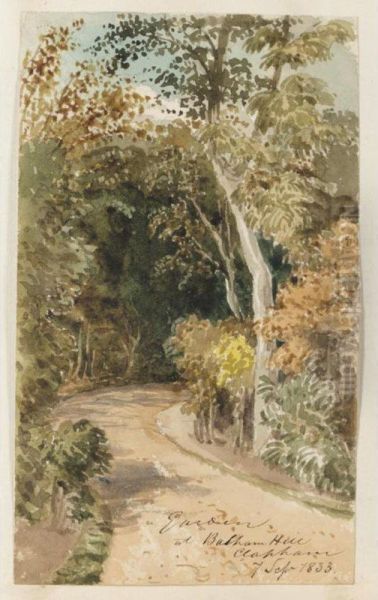 An Album Of Studies Of Trees In South-west London Oil Painting by Thomas Lindsay