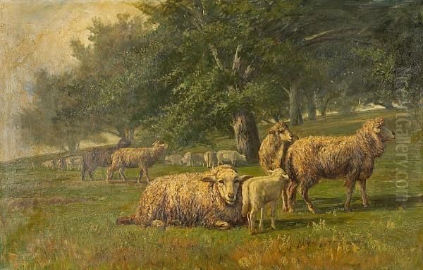 Sheep Grazing In A Meadow Oil Painting by Thomas Corwin Lindsay