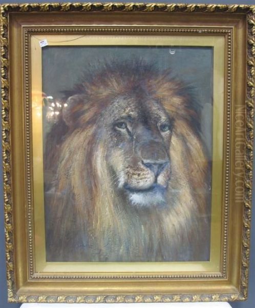 Portrait Of A Male Lion Oil Painting by Thomas Corwin Lindsay