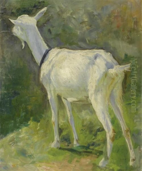 Mountain Goat Oil Painting by Carl August Liner