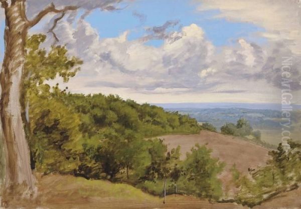 View Near Redhill, Surrey Oil Painting by William Linnell