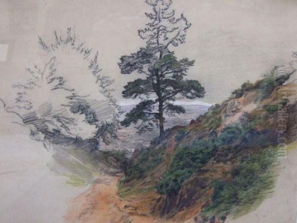 Mountainous Landscape With Scots Pines Oil Painting by William Linnell