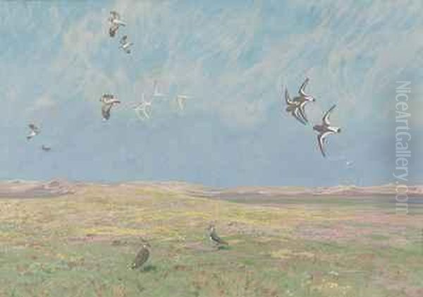 Verschiedene Kustenvogel In Sommerlicher Dunenlandschaft Oil Painting by Friedrich Lissmann