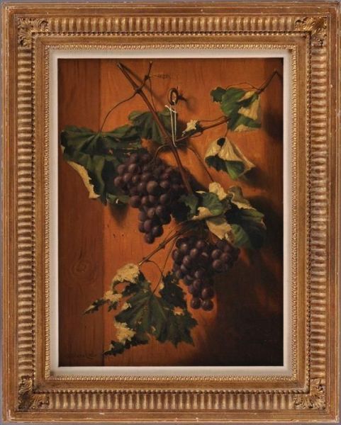 Grapes Hanging On A Wall Oil Painting by A. Platte Little