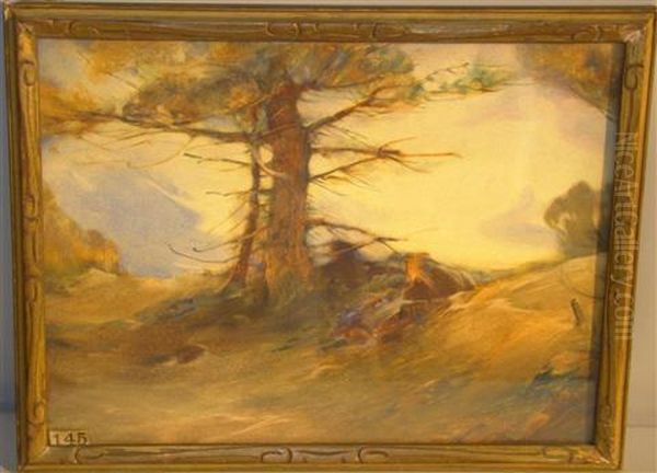 Diffused Shadow Under Pine Tree Oil Painting by John Wesley Little