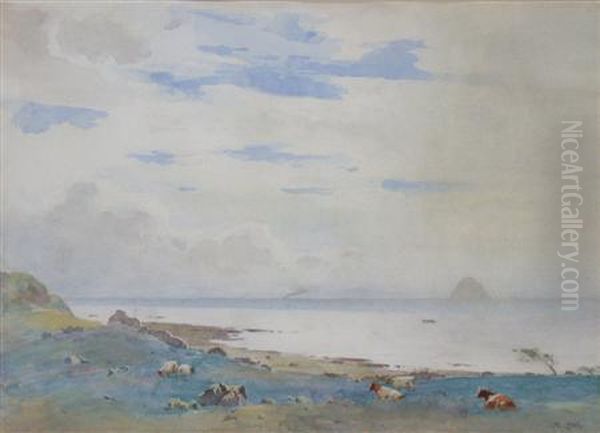 Cattle Grazing With The Bass Rock In The Distance Oil Painting by Robert Little