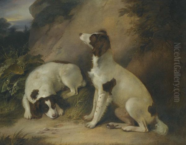 Two Springer Spaniels In A Rocky Landscape Oil Painting by Richard Livesay