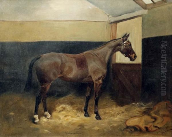 Horse In A Stable Oil Painting by Thomas Ivester Lloyd