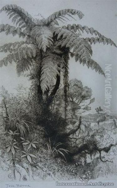 Tree Ferns Oil Painting by Trevor Lloyd