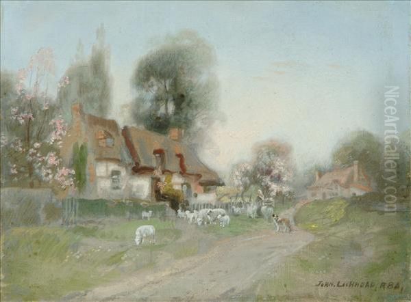 Sheep By A Cottage Garden Oil Painting by John Lochhead