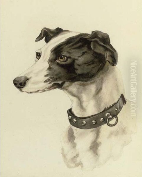 Portrait Of A Whippet Oil Painting by Edwin Loder