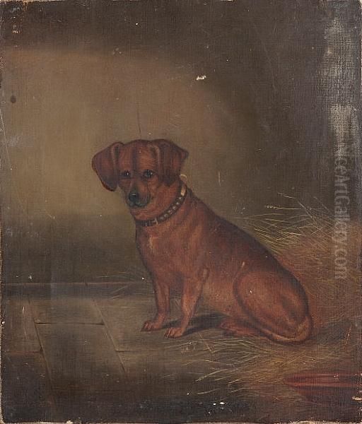 A Seated Dachshund Oil Painting by Edwin Loder