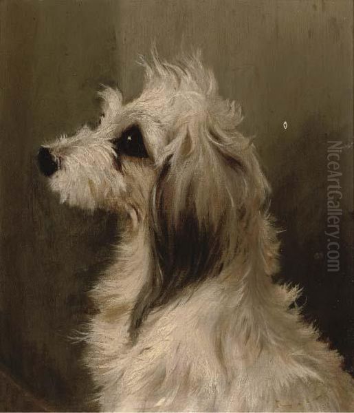 A Long-haired White Terrier Oil Painting by Edwin Loder