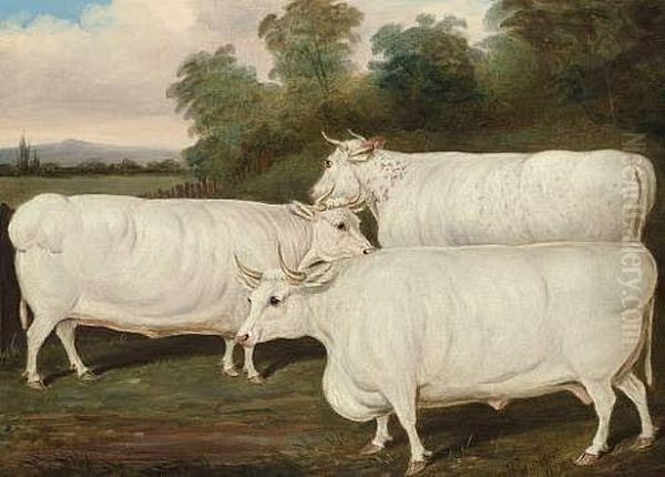 Three Prize White Shorthorns In A Landscape Oil Painting by James Loder