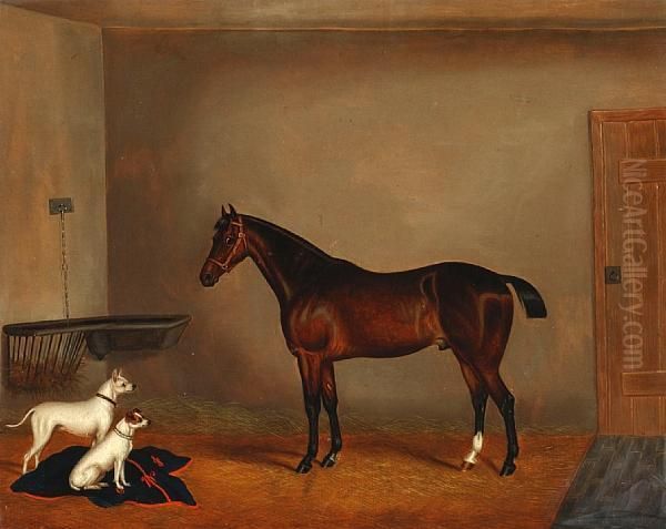 Bay Hunter And Two Terriers In A Stable Oil Painting by Edwin Loder