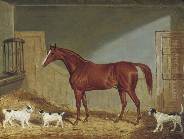 A Chestnut Hunter, Two Terriers And A Hound In A Stable Oil Painting by James Loder Of Bath