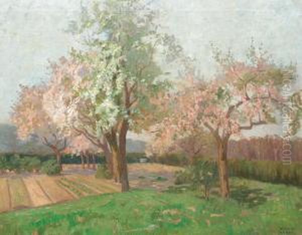 Ciresi In Floare Oil Painting by Kimon Loghi