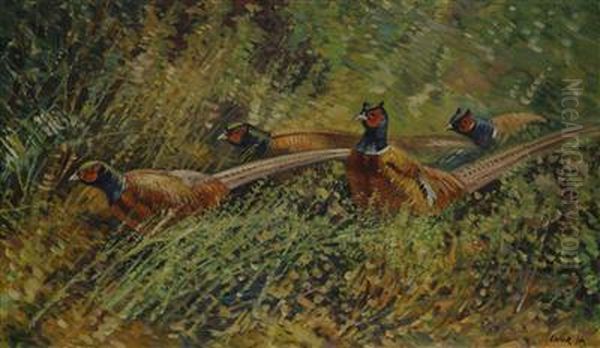 Pheasants Oil Painting by Stanislav Lolek